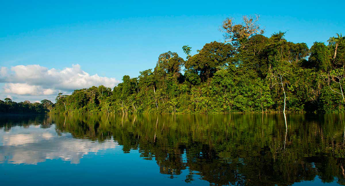 Amazon-Puerto-Maldonado