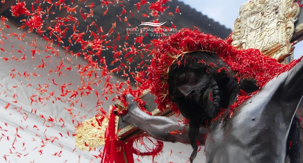 Close-up of ñucchu flowers falling over the image of the Lord of the Earthquakes during the procession in Cusco, an Andean symbol of life, sacrifice, and connection to the earth.