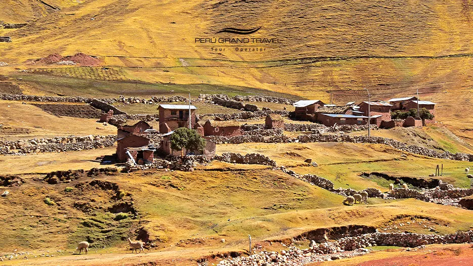 a local community near Palcoyo Mountain Peru