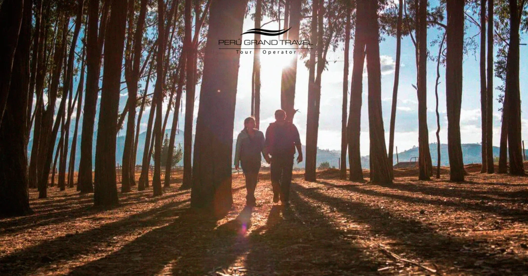 Qenqo Forest, aesthetic photos in Cusco