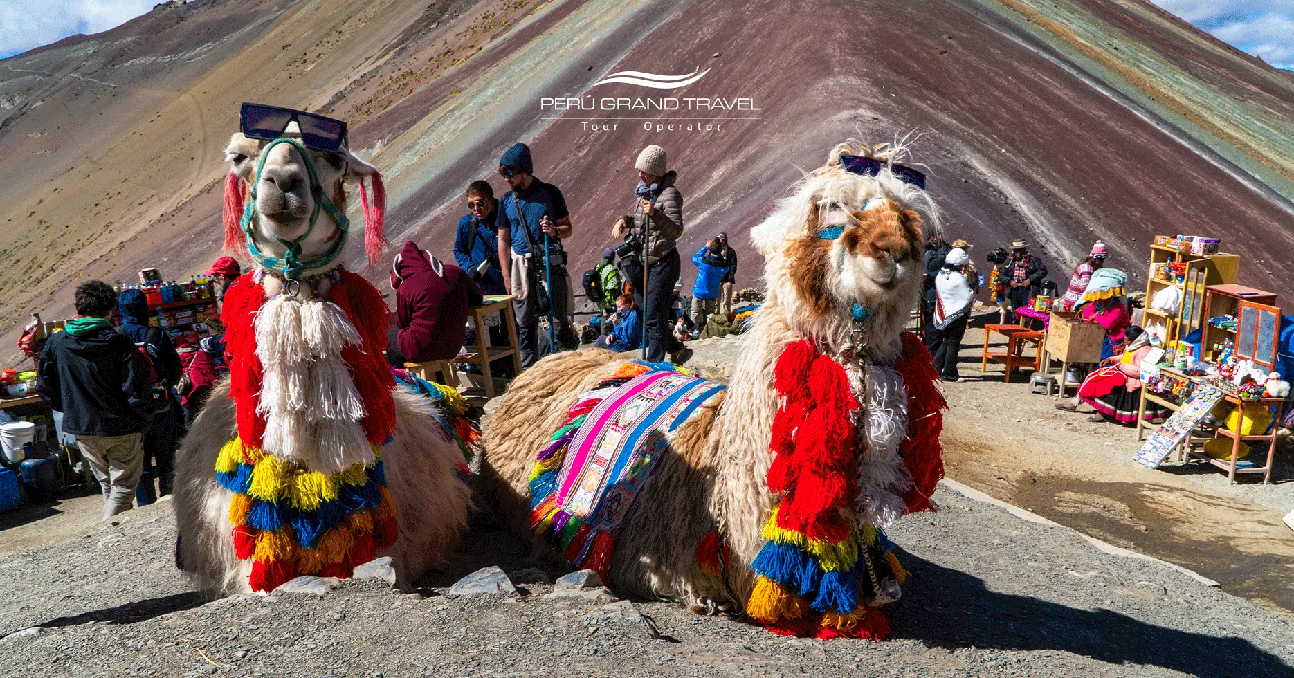 even the llamas want to visit rainbow mountain, Cusco!