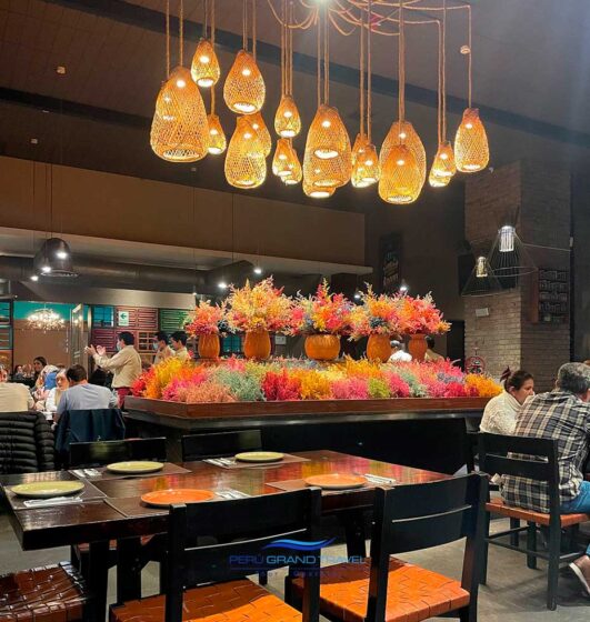 Panchita restaurant with a view of flowers and lamps