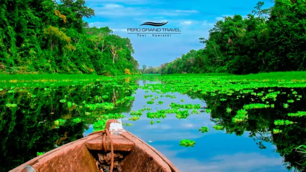 peruvian amazon