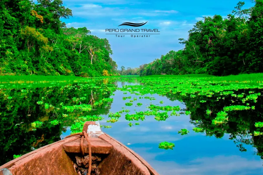 peruvian amazon