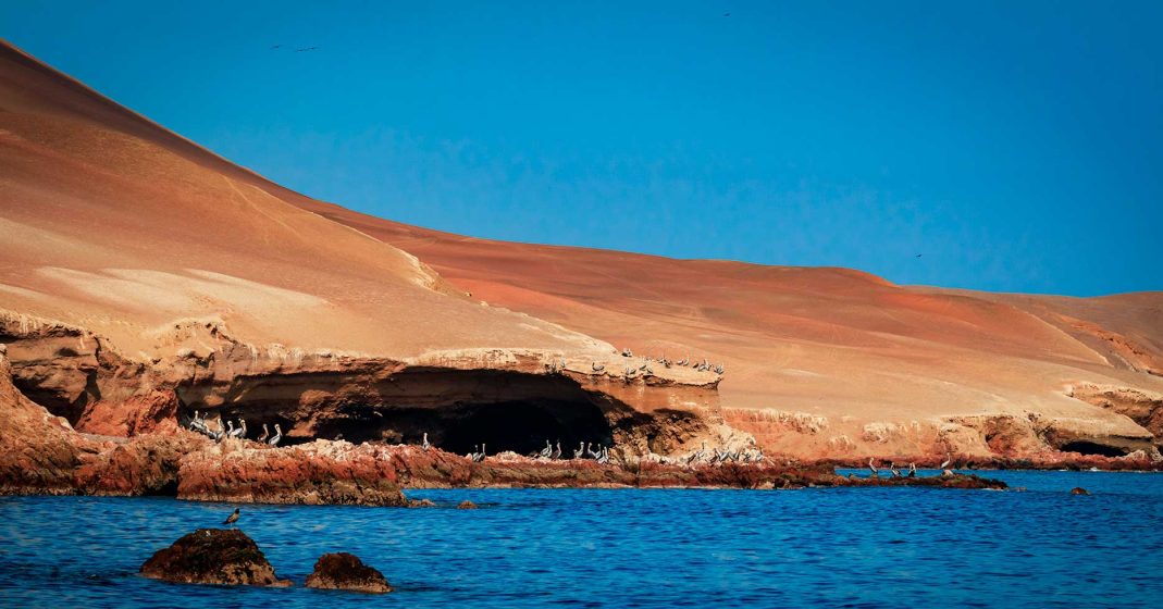 Tourism in Peru - Paracas National Reserve and the Ballestas Islands coast with different types of birds in view