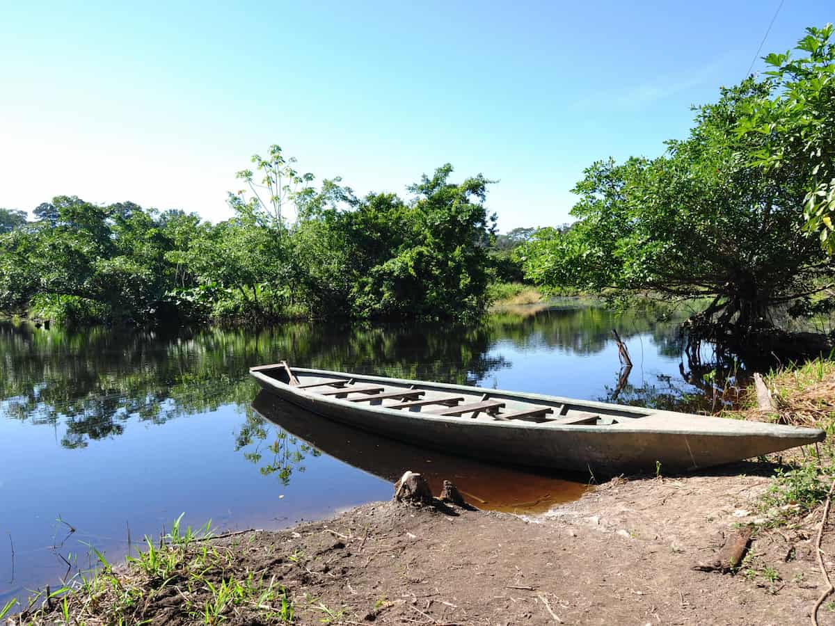 Amazon River