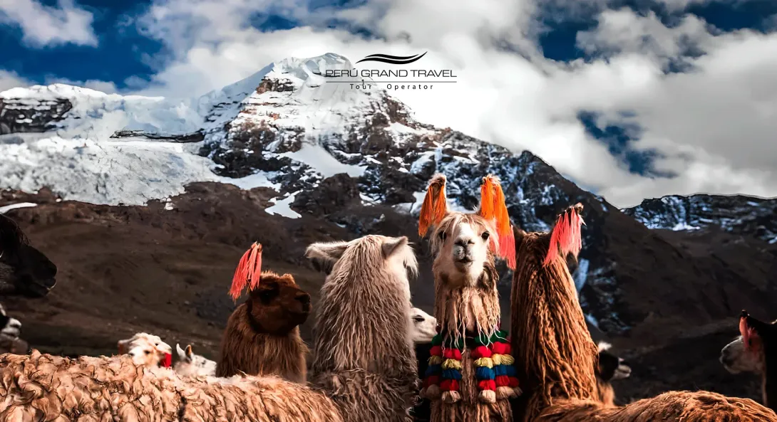 Is there snow in Peru?