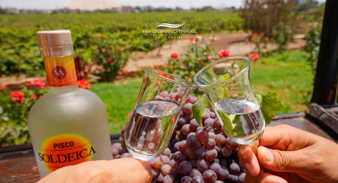 cover page, Peruvian pisco, varieties of pisco, pisco in Peru, pisco toast