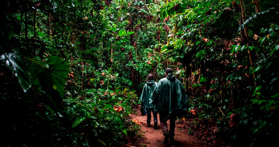 What to bring to the Peruvian jungle, jungle walks with the right equipment