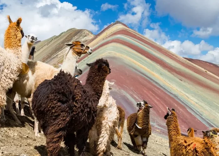 7 color mountain in Peru day trip