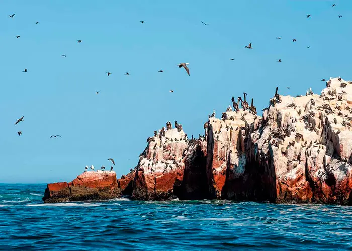 One of the Ballestas Islands covered in marine birds on a sunny day with a blue sky