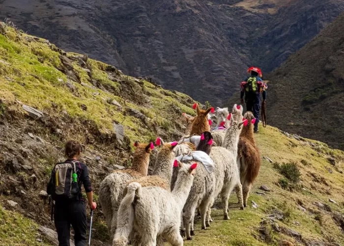 Lares Valley Trek to Machu Picchu 4 days