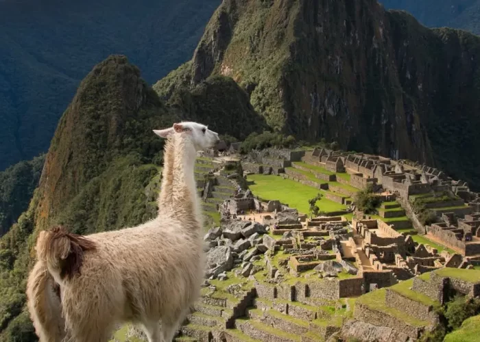 Machu Picchu Packages 6 days - Cusco Peru